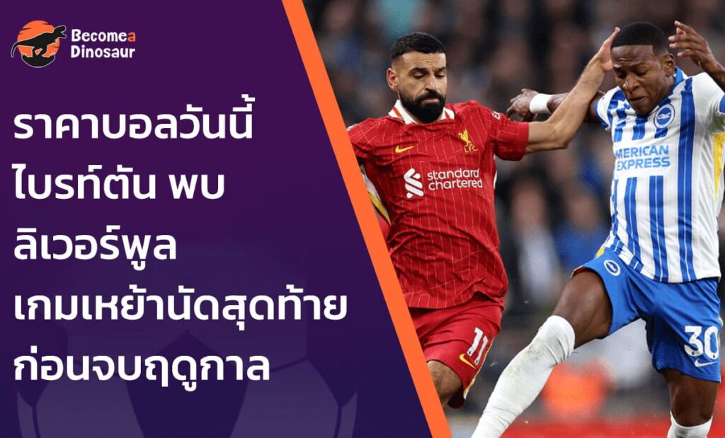 ราคาบอลวันนี้ ไบรท์ตัน พบ ลิเวอร์พูล